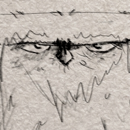 Grumpy Owl