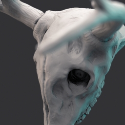 yet another quick skull sculpt